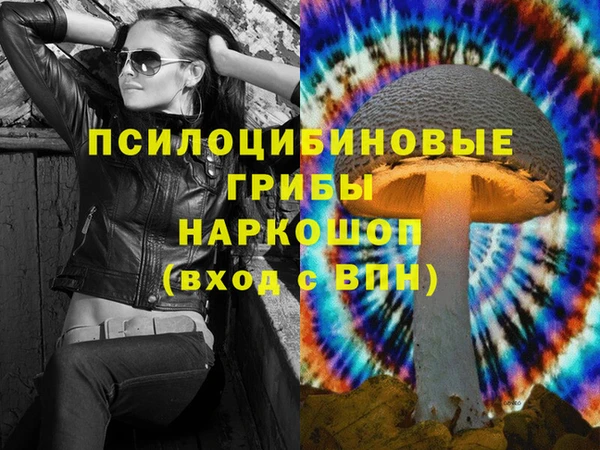 молекула духа Бородино