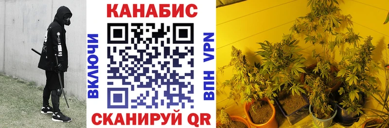 Марихуана SATIVA & INDICA  Всеволожск 